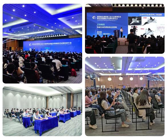 1726044720211505.jpg 8.jpg